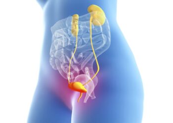 What is the Urinary Tract? (Title 1)                            (एससीआई व्यक्तियों के लिए मूत्र पथ की शारीरिक रचना?)